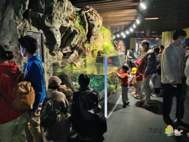 【京都府】「京都水族館」①－思ったよりたくさんいるオオサンショウウオ－